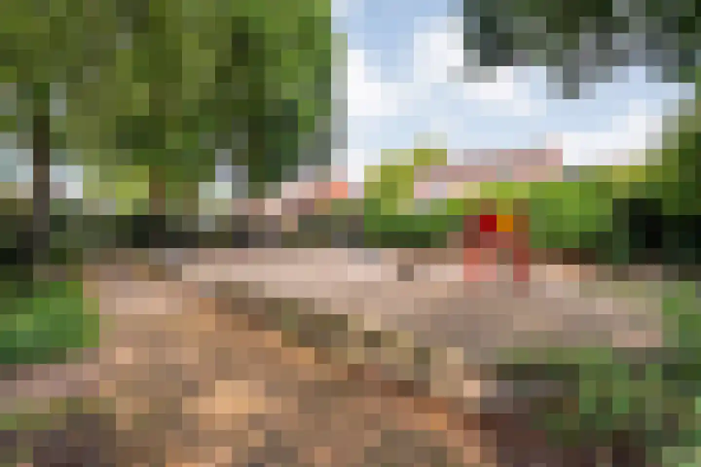 Kervel 46 Raalte thumbnail 45