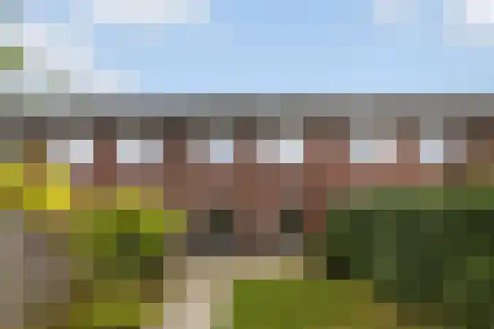 Kervel 5 Hardenberg thumbnail 13