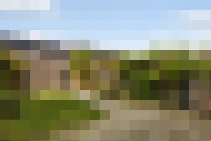 Kervel 5 Hardenberg thumbnail 14