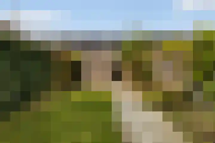 Kervel 5 Hardenberg thumbnail 15