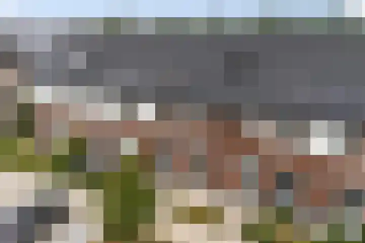 Kervel 5 Hardenberg thumbnail 26