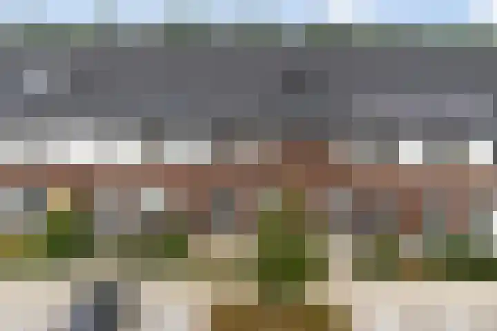 Kervel 5 Hardenberg thumbnail 27