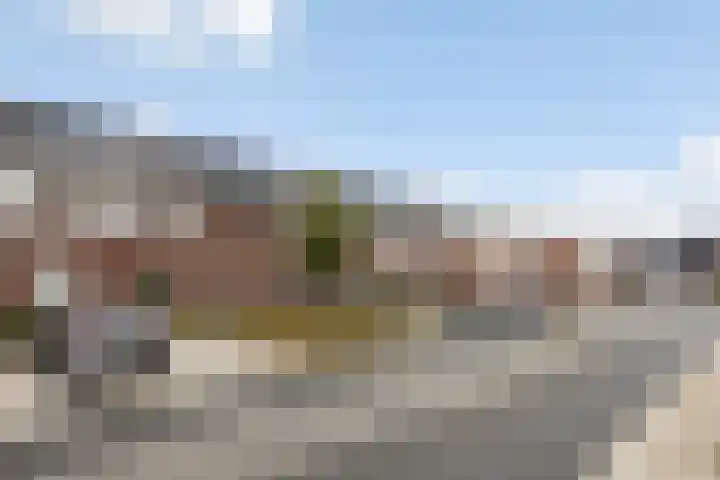 Kervel 5 Hardenberg thumbnail 29