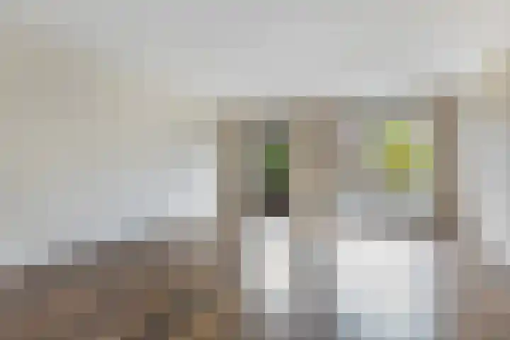 Kervel 5 Hardenberg thumbnail 7
