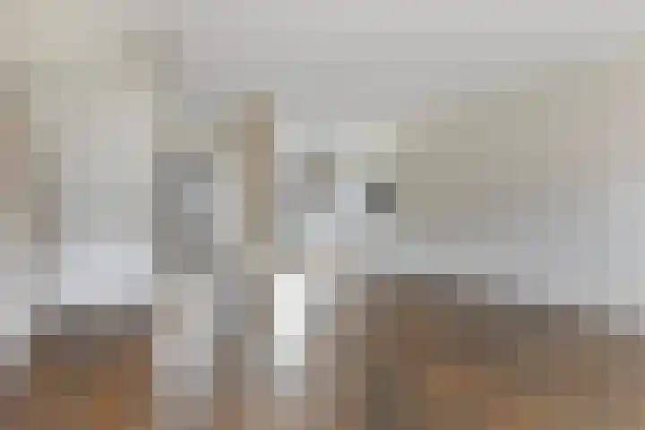 Kervel 5 Hardenberg thumbnail 8