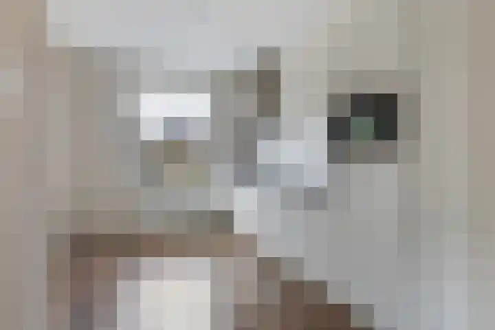 Kervel 5 Hardenberg thumbnail 9