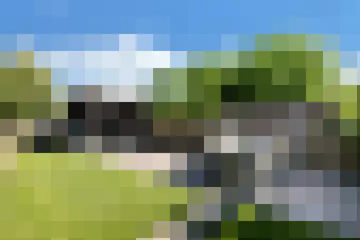 Kervel 6 A Heerhugowaard thumbnail 33