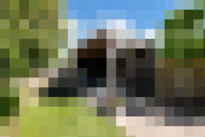 Kervel 6 A Heerhugowaard thumbnail 34