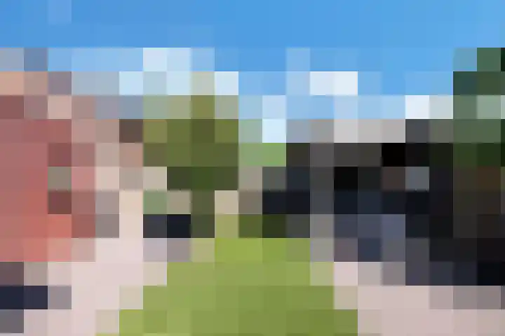 Kervel 6 A Heerhugowaard thumbnail 36
