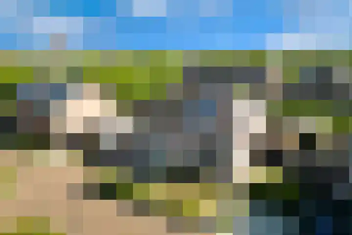 Kervel 6 A Heerhugowaard thumbnail 39