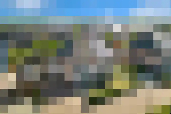 Kervel 6 A Heerhugowaard thumbnail 41