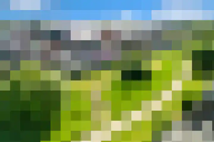 Kervel 6 A Heerhugowaard thumbnail 42