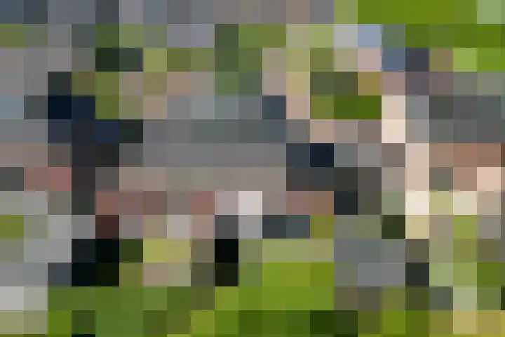 Kervel 6 A Heerhugowaard thumbnail 44
