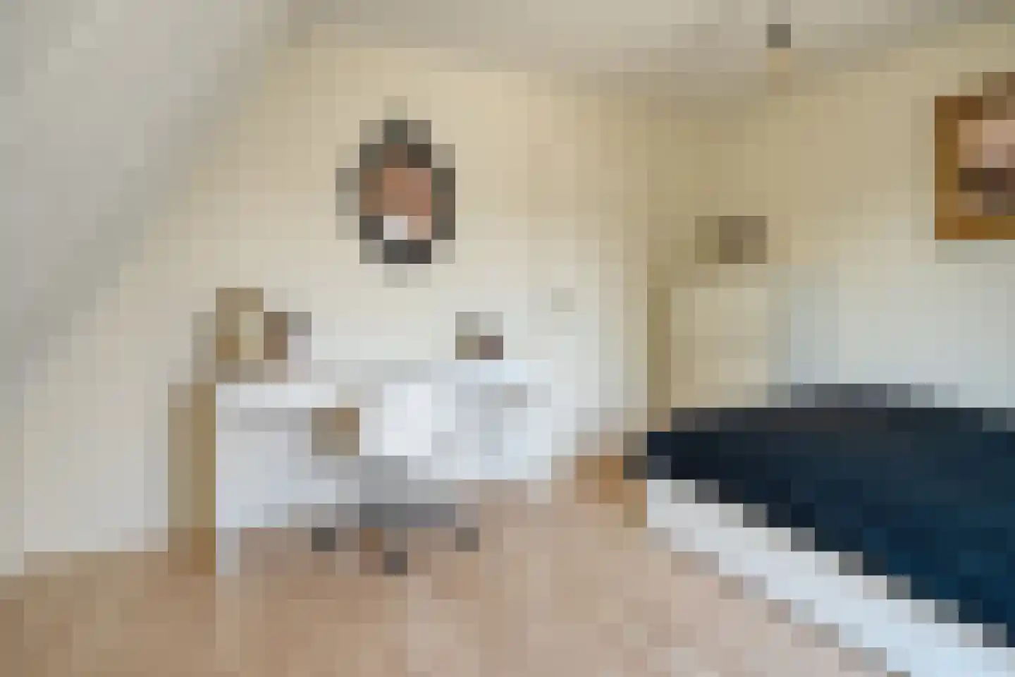 Kervel 6 Dronten thumbnail 21