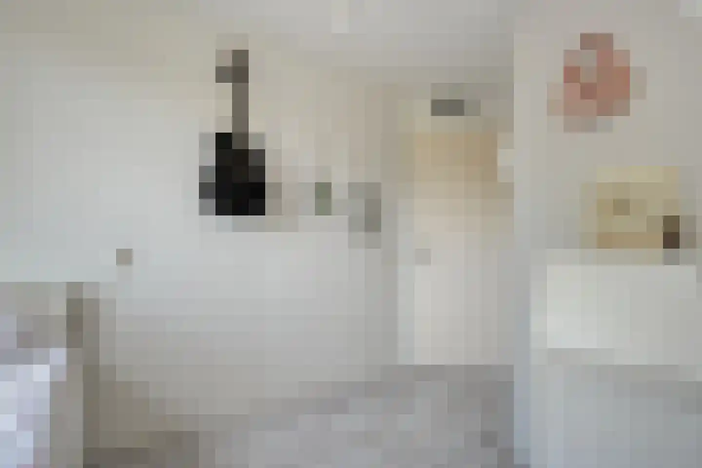 Kervel 6 Dronten thumbnail 25