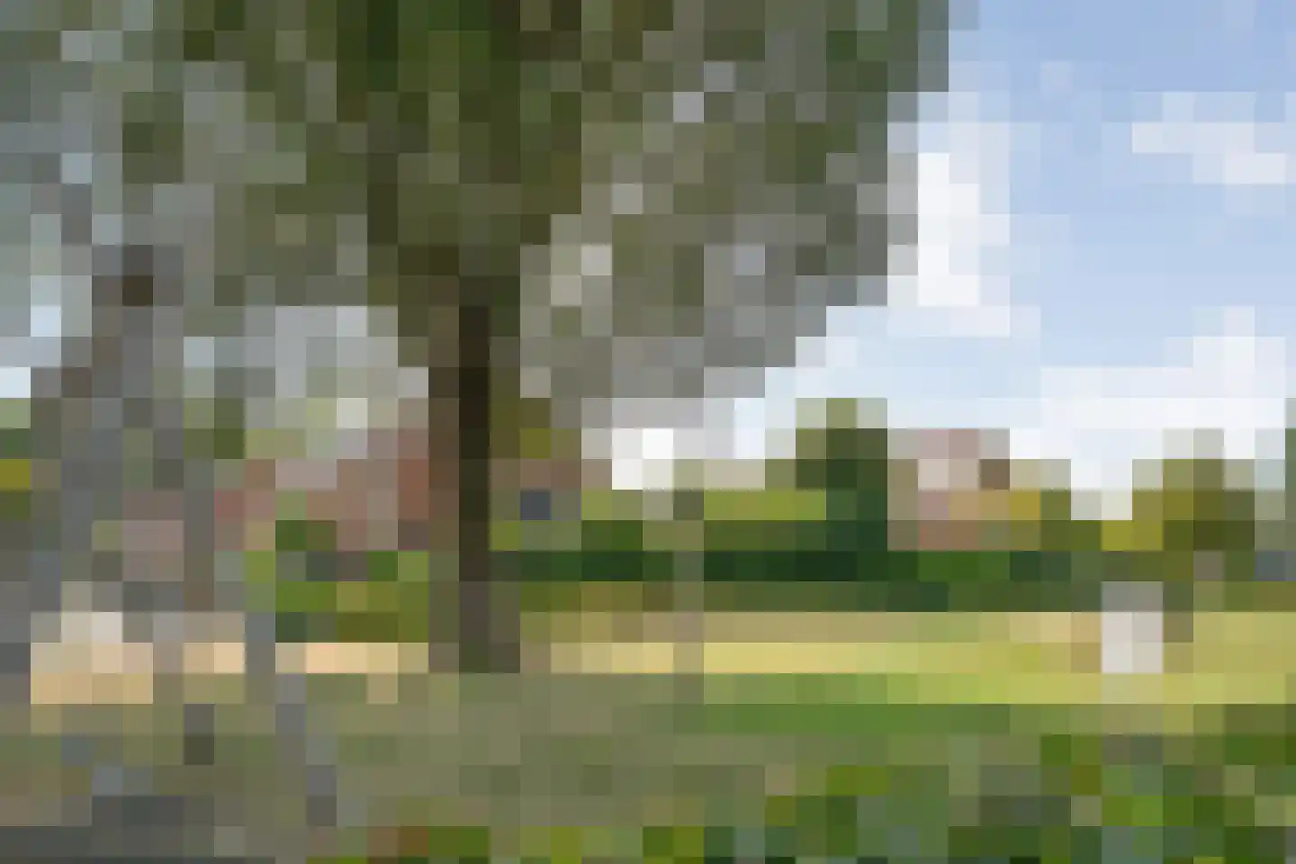 Kervel 6 Dronten thumbnail 41