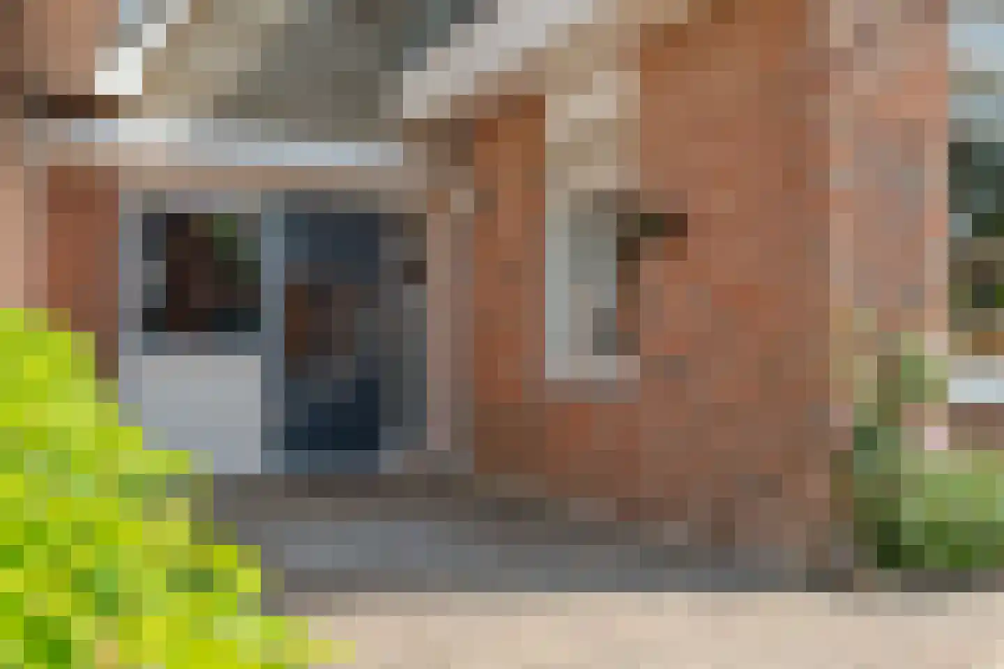 Kervel 6 Dronten thumbnail 5