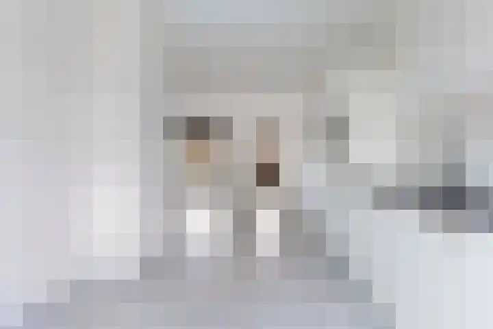 Kervel 7 Hardenberg thumbnail 12