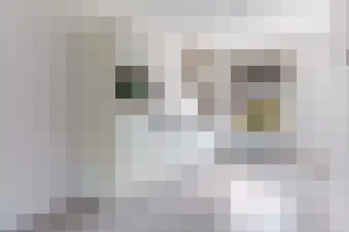 Kervel 7 Hardenberg thumbnail 13