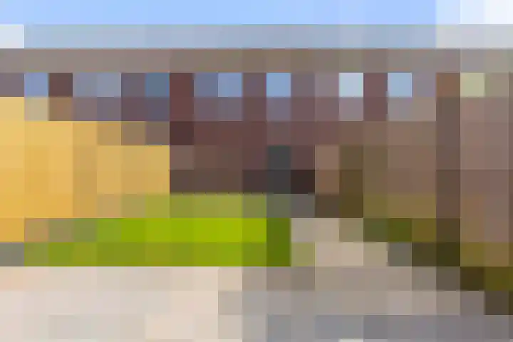 Kervel 7 Hardenberg thumbnail 17