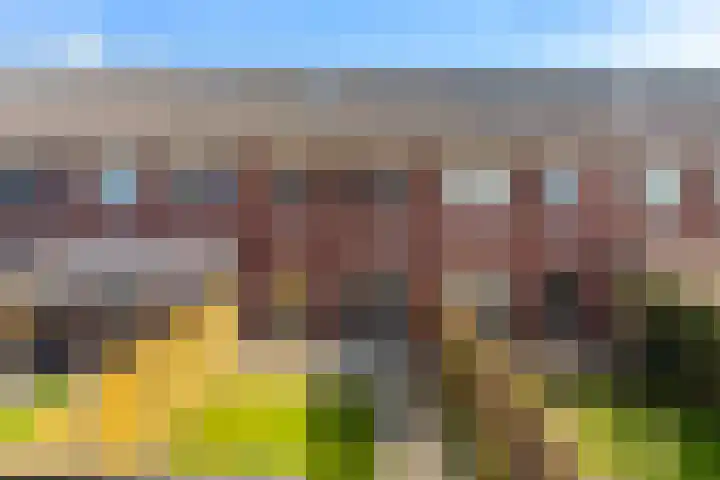 Kervel 7 Hardenberg thumbnail 18