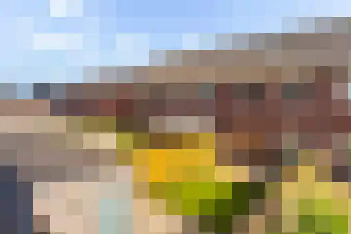 Kervel 7 Hardenberg thumbnail 20