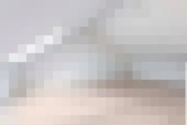 Kervel 7 Hardenberg thumbnail 35