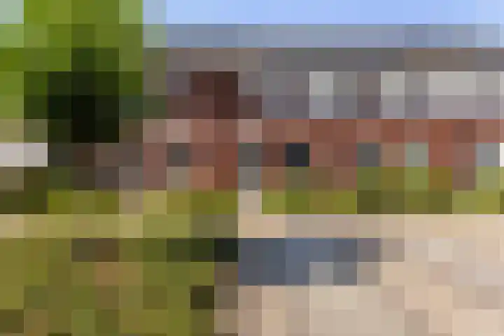 Kervel 7 Hardenberg thumbnail 46