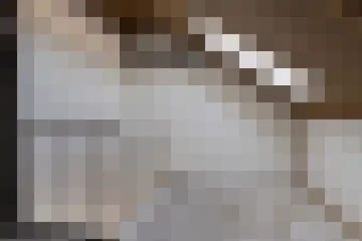 Kervelbrink 10 Beilen thumbnail 21