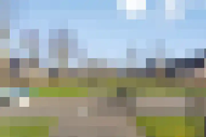 Kervelbrink 10 Beilen thumbnail 27