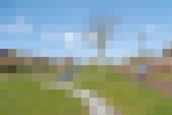 Kervelbrink 10 Beilen thumbnail 29