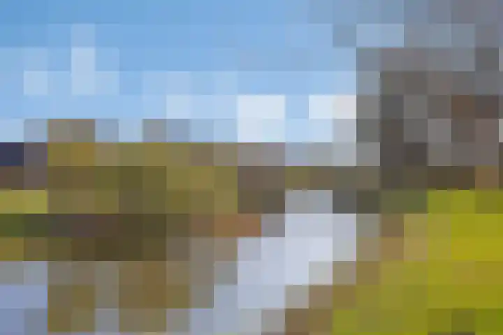 Kervelbrink 10 Beilen thumbnail 30