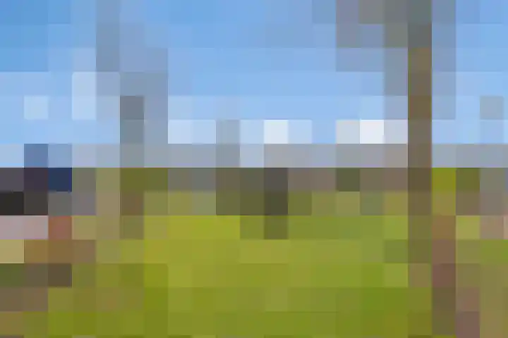 Kervelbrink 10 Beilen thumbnail 31