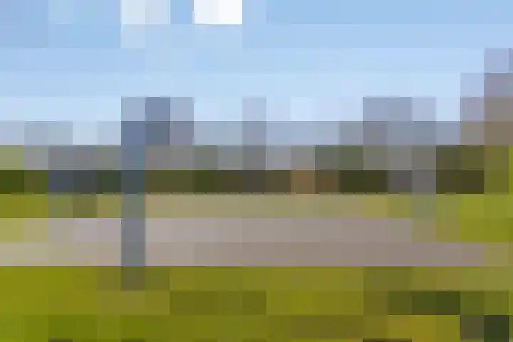 Kervelbrink 10 Beilen thumbnail 32