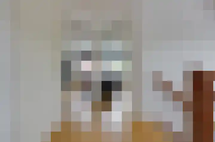 Kervelbrink 3 Beilen thumbnail 19