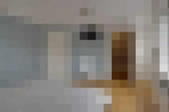 Kervelbrink 3 Beilen thumbnail 29