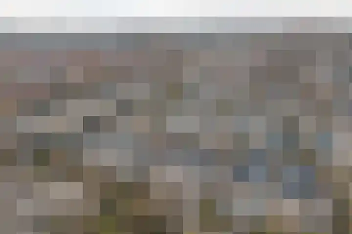 Kervelgaarde 17 Gouda thumbnail 47