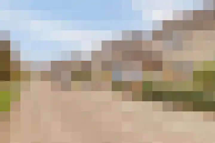 Kervelgaarde 17 Gouda thumbnail 6