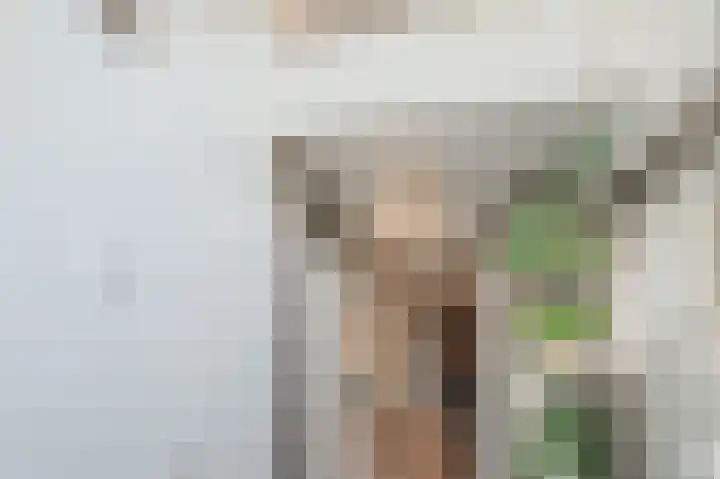 Kervelhof 22 Voorhout thumbnail 22