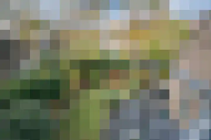 Kervelhof 22 Voorhout thumbnail 44