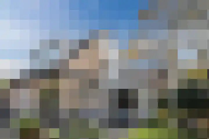Kervelhof 22 Voorhout thumbnail 50