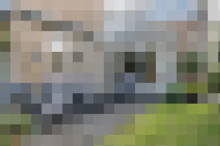 Kervelhof 22 Voorhout thumbnail 51