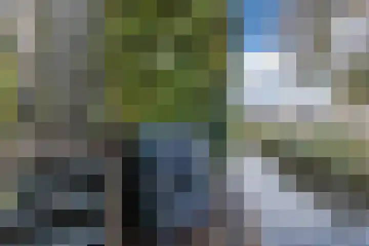 Kervelhof 22 Voorhout thumbnail 53