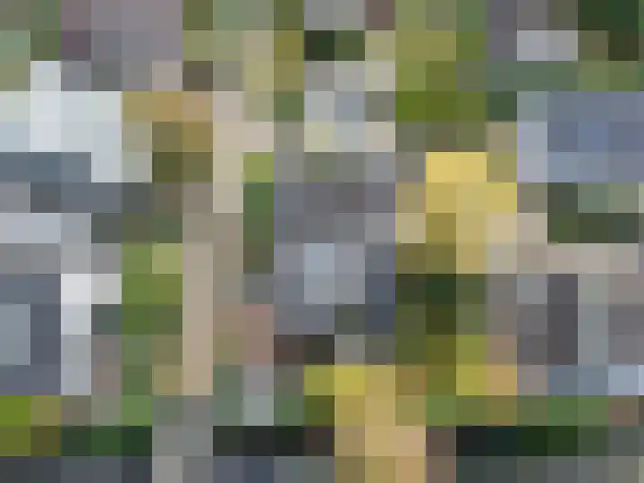Kervelhof 22 Voorhout thumbnail 57