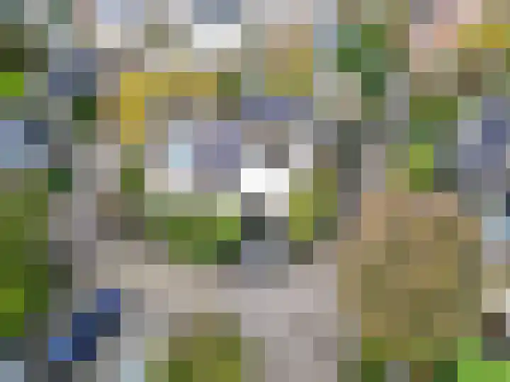 Kervelhof 22 Voorhout thumbnail 58