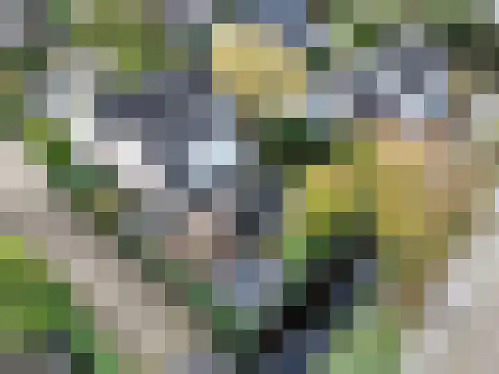 Kervelhof 22 Voorhout thumbnail 59