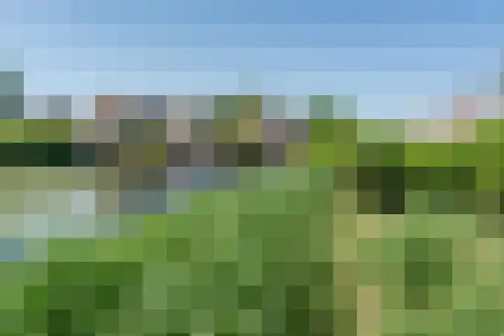 Kervelhof 54 Voorhout thumbnail 44