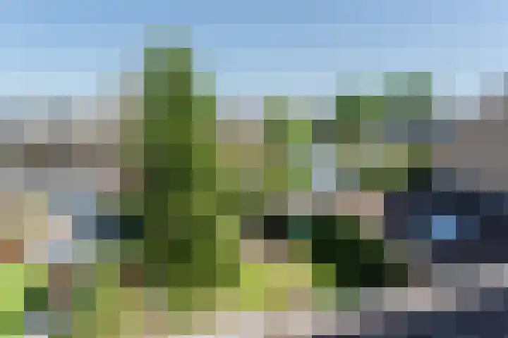 Kervelhof 54 Voorhout thumbnail 47