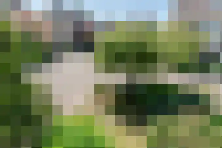 Kervelhof 54 Voorhout thumbnail 48