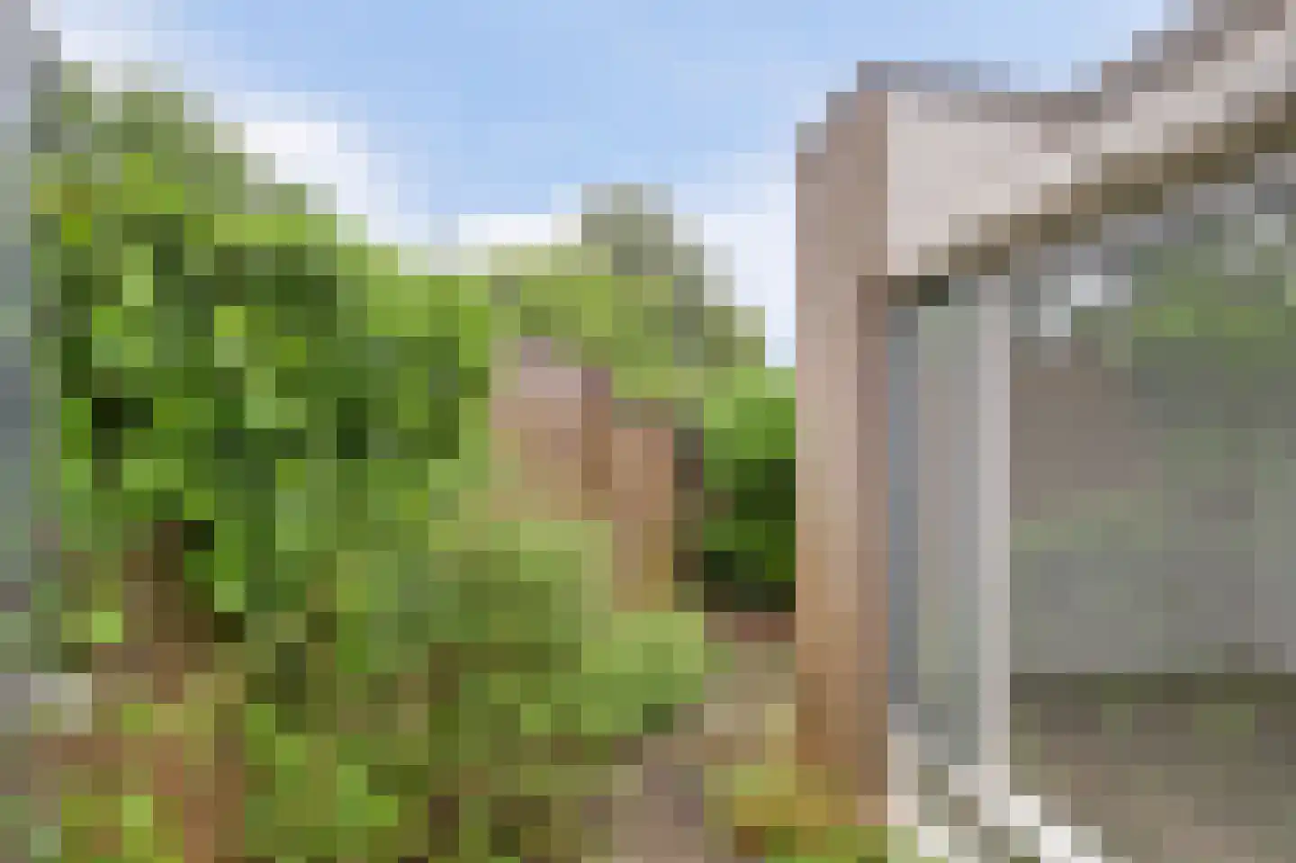 Kervelhof 6 Houten thumbnail 25
